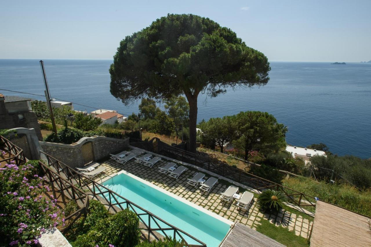 Il Pino Praiano