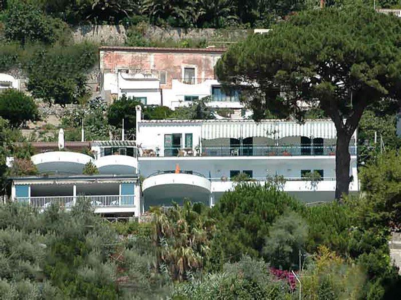 Il Pino 3*